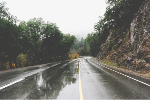 Wet, winding road through a forested area with potential for hidden potholes
