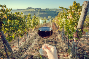 Hand holding a glass of red wine in front of a vineyard with rolling hills in the background during a sunny spring day.
